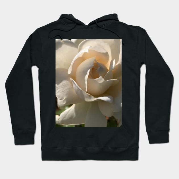 Pearl Rose Hoodie by Khala